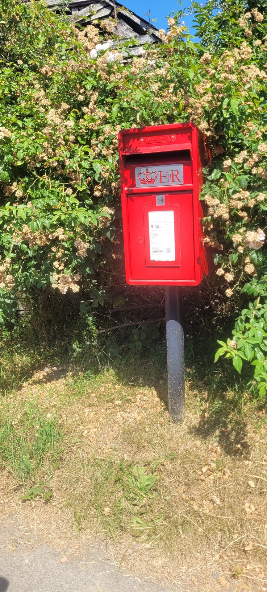 Postbox: Church Bank, Burrington, Burrington, Herefordshire